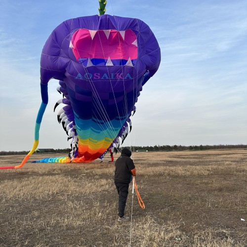 35M ancient trilobite kite pendant 40d ripstop nylon