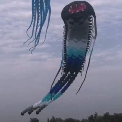 35M ancient trilobite kite pendant 40d ripstop nylon