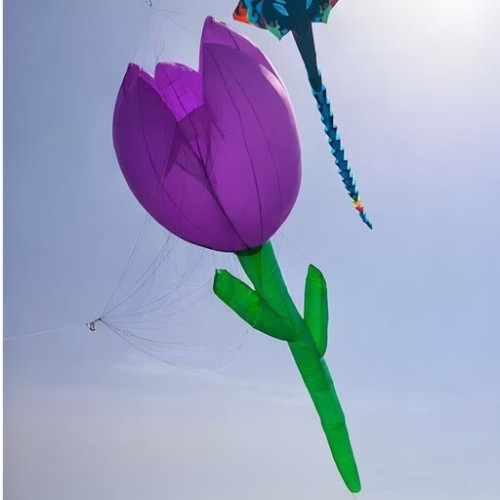 12m Tulip kite pendant 40d ripstop nylon For Adults High Quality Colorful Show Kites