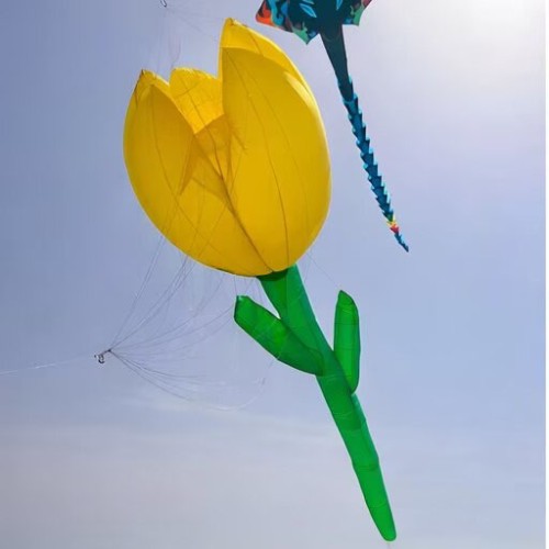 12m Tulip kite pendant 40d ripstop nylon For Adults High Quality Colorful Show Kites