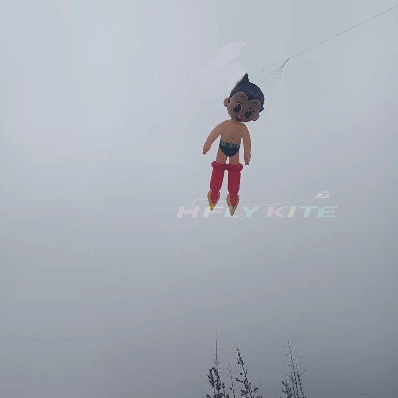 6m Astro Boy kite pendant 40D Nylon Show Kites 