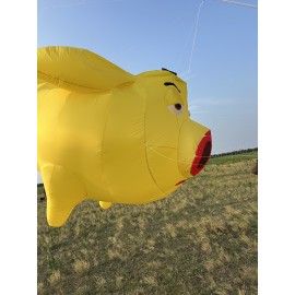 New Arrival Soft Inflatable 3M Flying Pig Kite Pendant 40d Ripstop Nylon For Adults High Quality Colorful Animal Show Kites 