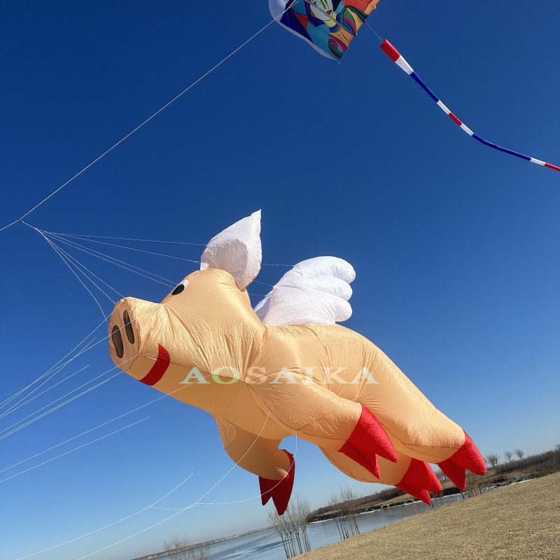 New Arrival Soft Inflatable 6M Flying pig Kite Pendant 40d Ripstop Nylon For Adults High Quality Colorful Animal Show Kites 