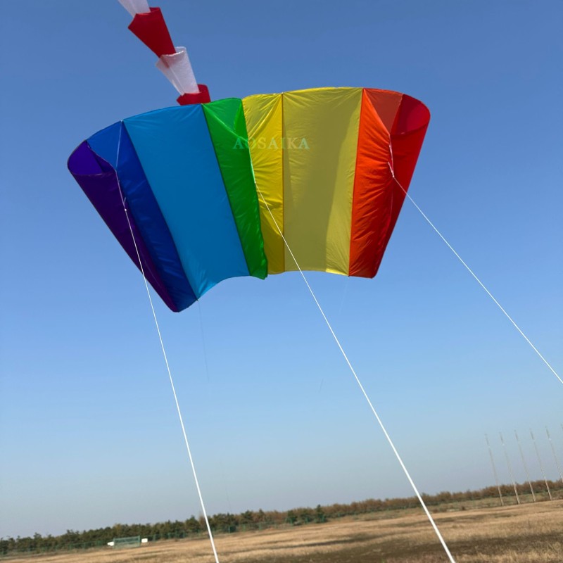 3×2.1m Parafoil Kite 40d Ripstop Nylon For Adults High Quality ColorfulShow Kite 