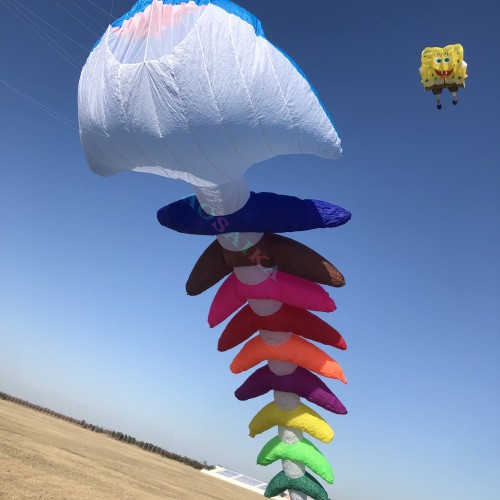 5m/10m Fish bone Kite Pendant 40d Ripstop Nylon For Adults High Quality Colorful Show Kites