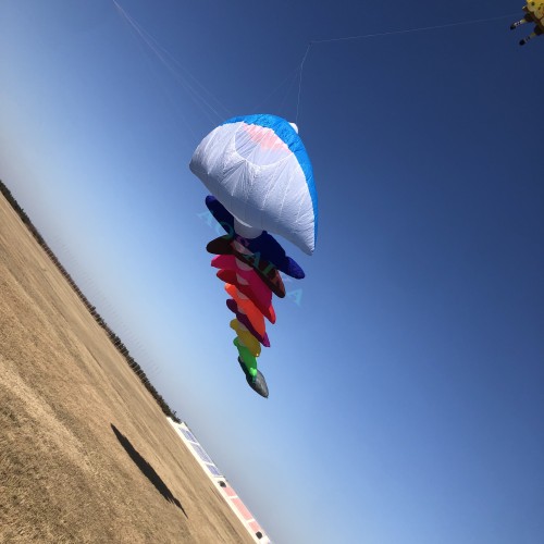 5m/10m Fish bone Kite Pendant 40d Ripstop Nylon For Adults High Quality Colorful Show Kites