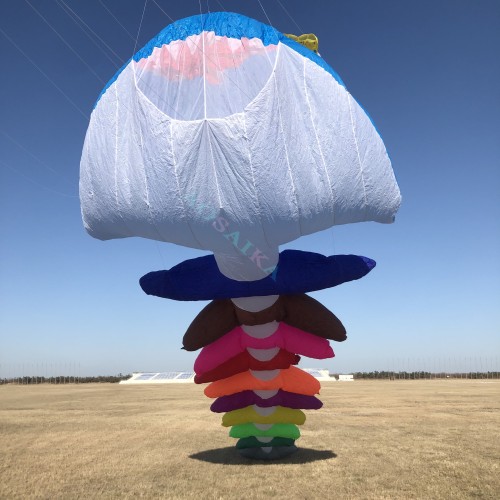 5m/10m Fish bone Kite Pendant 40d Ripstop Nylon For Adults High Quality Colorful Show Kites