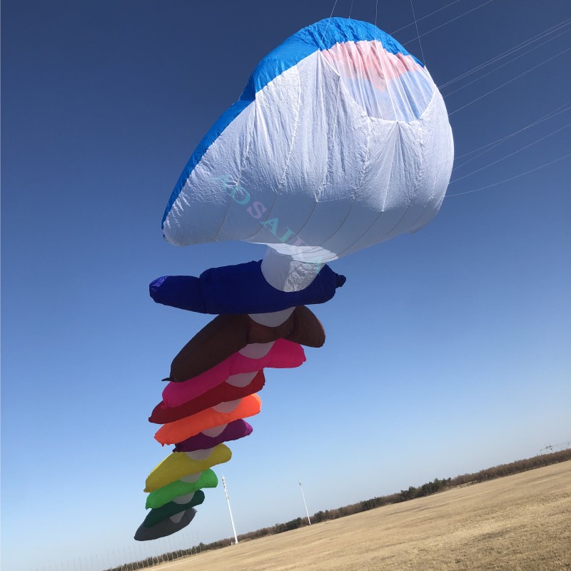 5m/10m Fish bone Kite Pendant 40d Ripstop Nylon For Adults High Quality Colorful Show Kites 