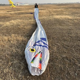Tail 17m head 1.12m Ribbon fish kite Polyester cloth Adults High Quality Colorful Show Kite 