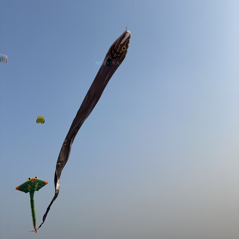 Tail 17m head 1.12m Ribbon fish kite Polyester cloth Adults High Quality Colorful Show Kite 