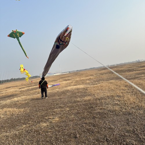 Tail 17m head 1.12m Ribbon fish kite Polyester cloth Adults High Quality Colorful Show Kite