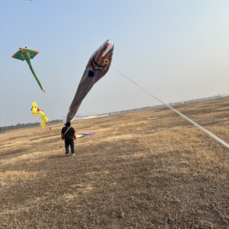 Tail 17m head 1.12m Ribbon fish kite Polyester cloth Adults High Quality Colorful Show Kite 