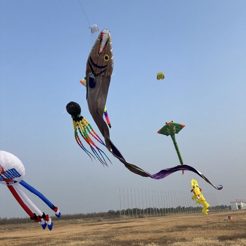 Tail 17m head 1.12m Ribbon fish kite Polyester cloth Adults High Quality Colorful Show Kite