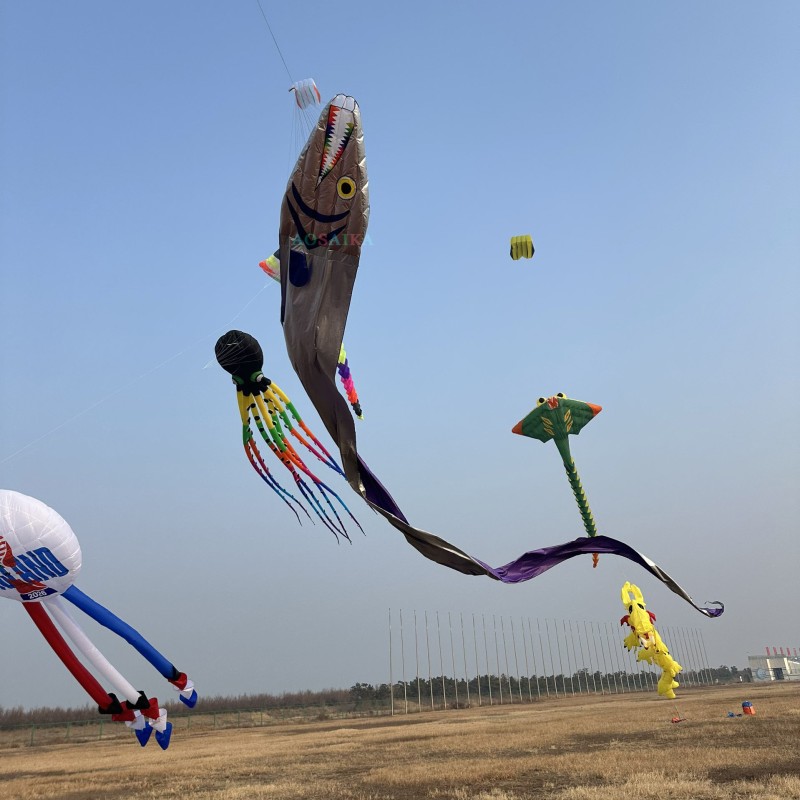 Tail 17m head 1.12m Ribbon fish kite Polyester cloth Adults High Quality Colorful Show Kite 