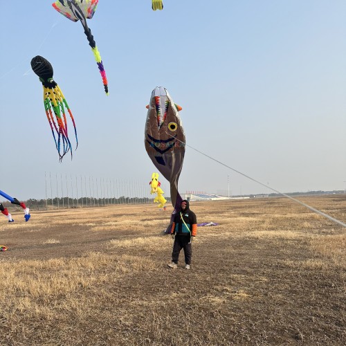 Tail 17m head 1.12m Ribbon fish kite Polyester cloth Adults High Quality Colorful Show Kite