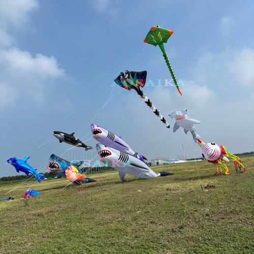 12M shark kite pendant 40d nylon ripstop 12M shark kite pendant 40d nylon ripstop