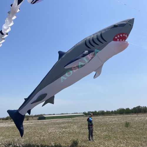12M shark kite pendant 40d ripstop nylon 12M shark kite pendant 40d ripstop nylon
