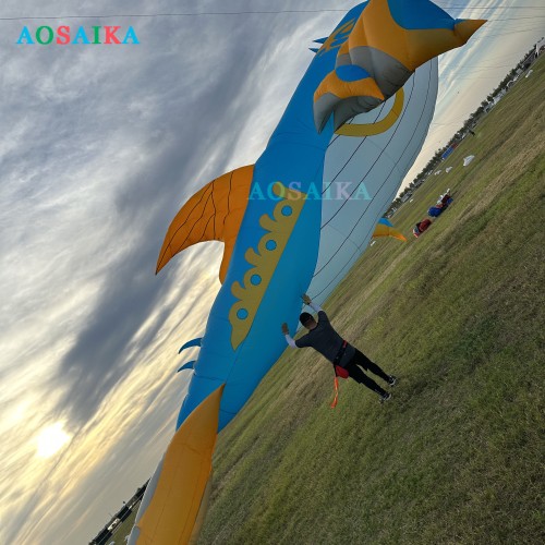 New Arrival Soft Inflatable 10M Roc Kite Pendant 40d Ripstop Nylon Adults High Quality Colorful Animal Show Kites