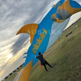 New Arrival Soft Inflatable 10M Roc Kite Pendant 40d Ripstop Nylon Adults High Quality Colorful Animal Show Kites 