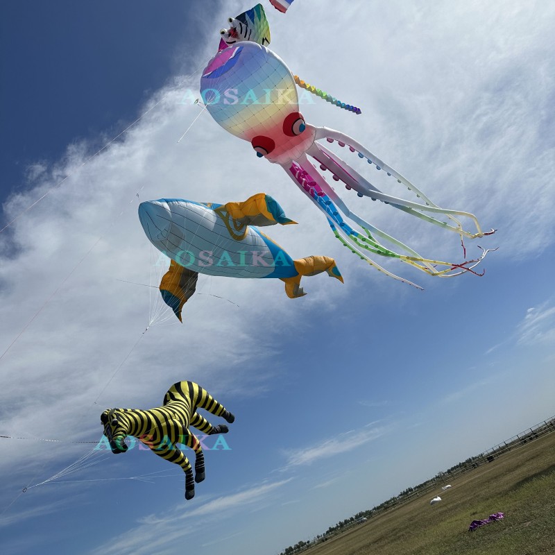 New Arrival Soft Inflatable 10M Roc Kite Pendant 40d Ripstop Nylon Adults High Quality Colorful Animal Show Kites 