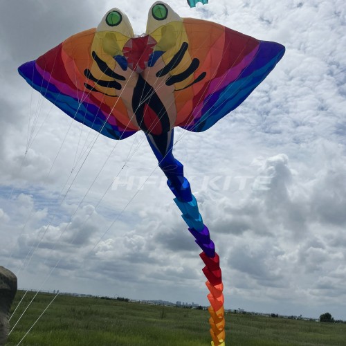 12M ray kite pendant 40d ripstop nylon