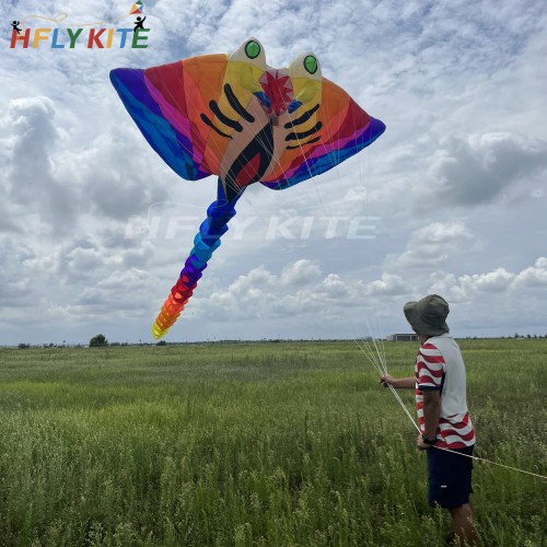 12M ray kite pendant 40d ripstop nylon