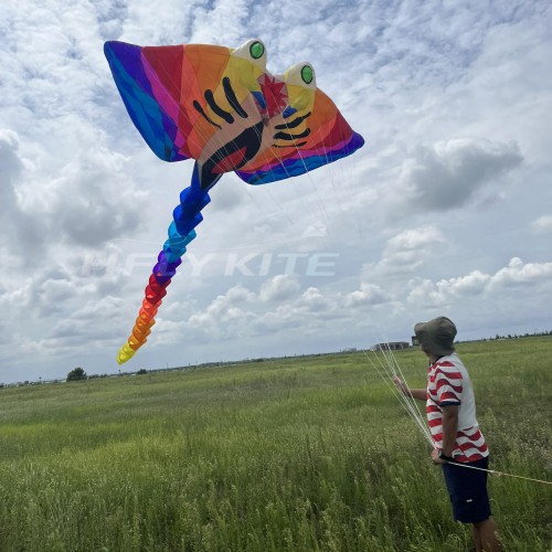12M ray kite pendant 40d ripstop nylon