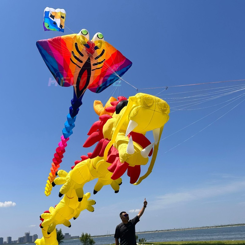 21M ray kite pendant 40d ripstop nylon 