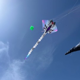 21M ray kite pendant 40d ripstop nylon 