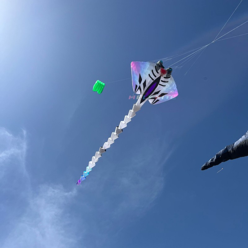 21M ray kite pendant 40d ripstop nylon 