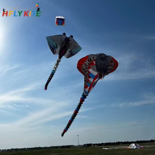 15M ray kite 15M ray kite