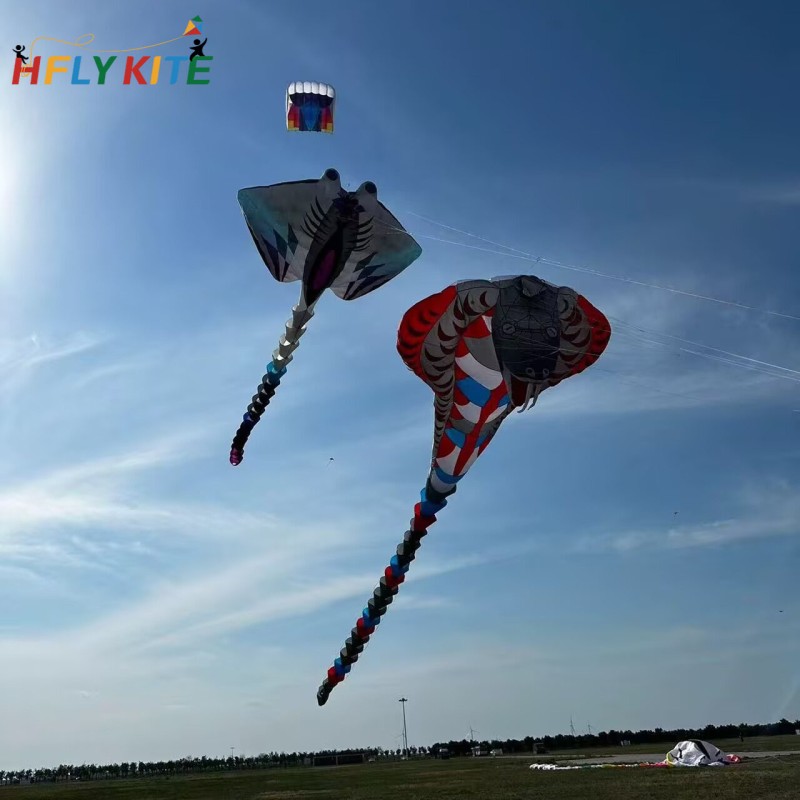 15M ray kite 