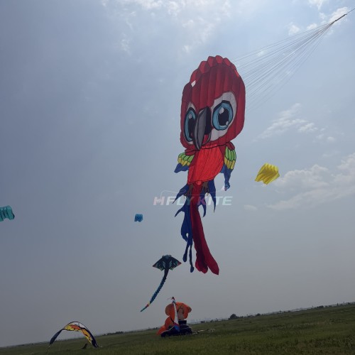 8M parrot kite pendant Polyester cloth Adults High Quality Colorful Show Kite