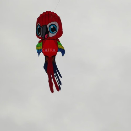8M parrot kite pendant Polyester cloth Adults High Quality Colorful Show Kite