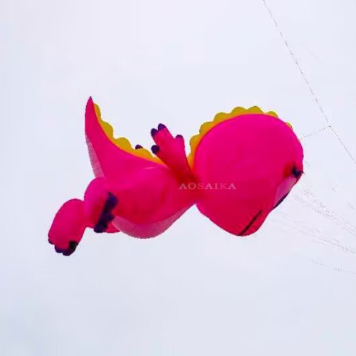 5m Dragon kite pendant 40d Ripstop Nylon For Adults High Quality ColorfulShow Kite