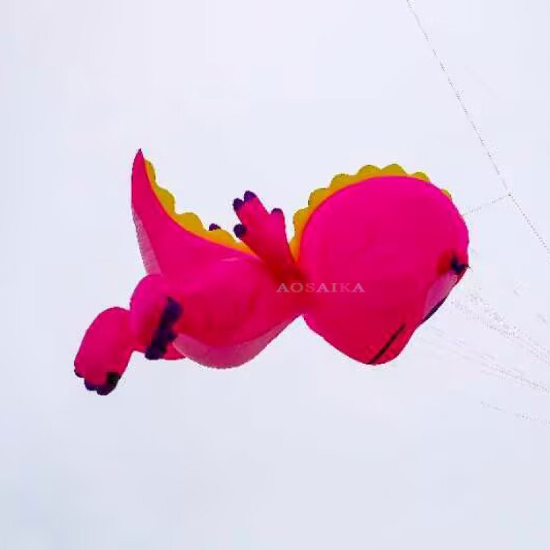 5m Dragon kite pendant 40d Ripstop Nylon For Adults High Quality ColorfulShow Kite 