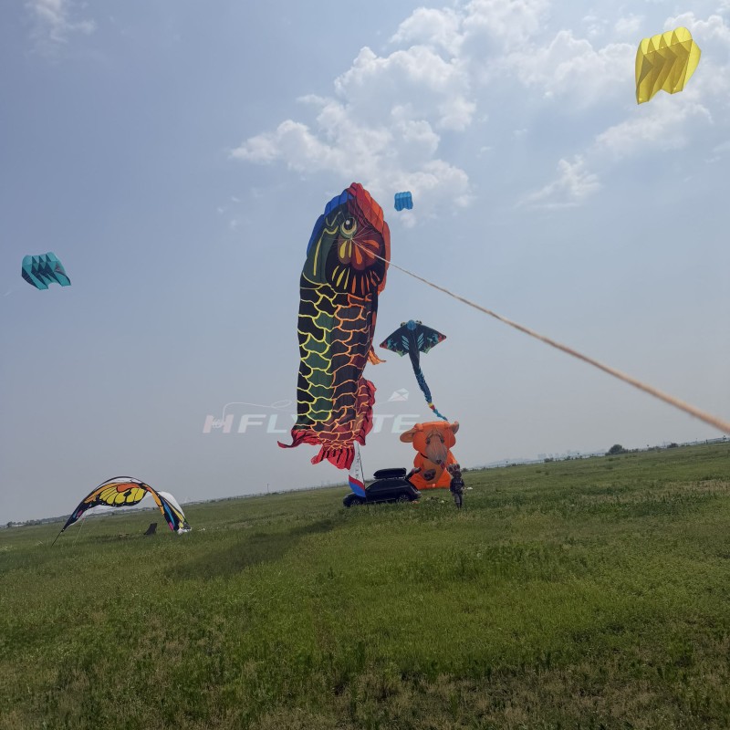 15M Dragon fish kite 40d ripstop nylon For Adults High Quality Colorful Show Kites 