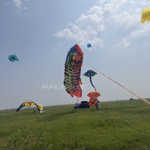15M Dragon fish kite 40d ripstop nylon For Adults High Quality Colorful Show Kites